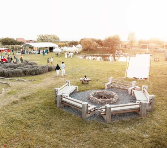 Viñedo los Arcángeles